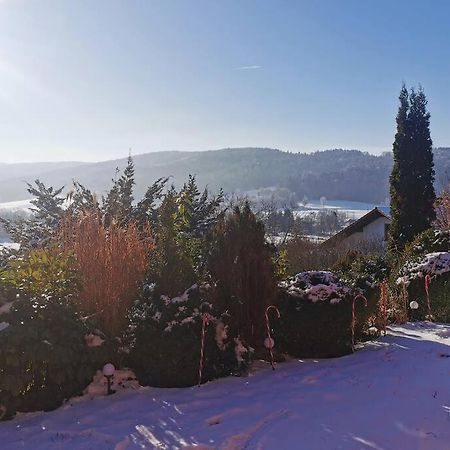 Chalet Bambi Blaibach Bagian luar foto