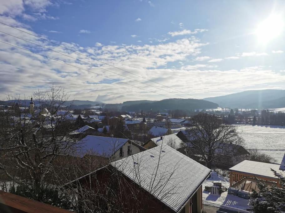Chalet Bambi Blaibach Bagian luar foto