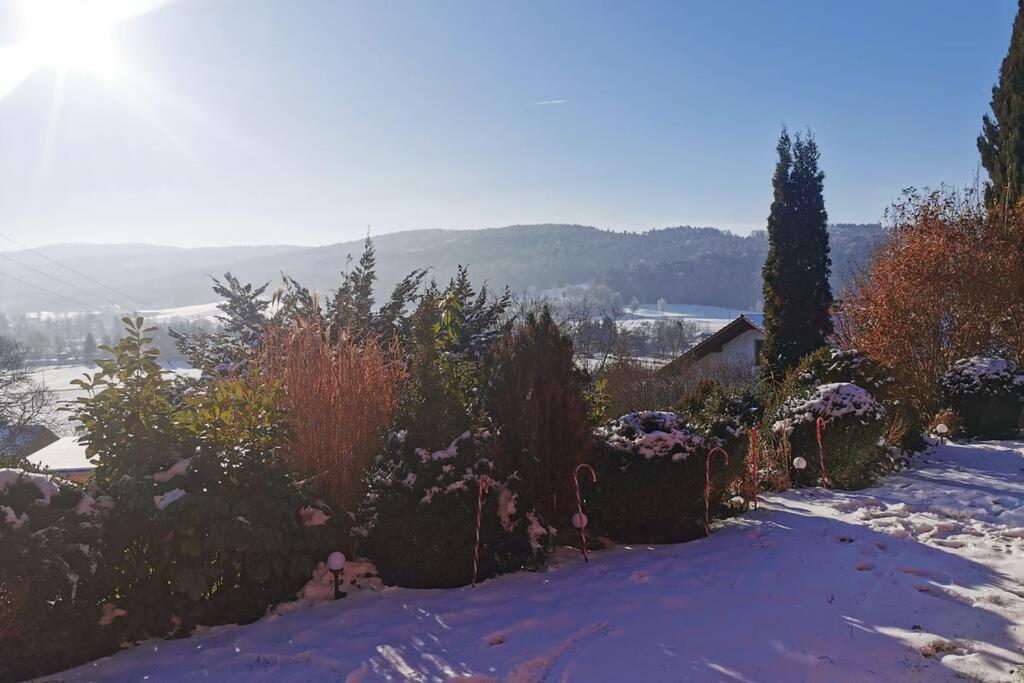 Chalet Bambi Blaibach Bagian luar foto